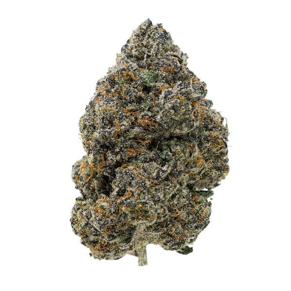 Gold Spectrum THCA Flower (Exotic) - Wookie Cookie