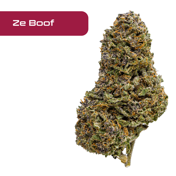 Flor de THCA de espectro dorado: variedad de máxima calidad del mes