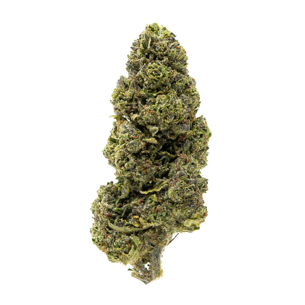 Gold Spectrum THCA Flower (Top) - Zangria