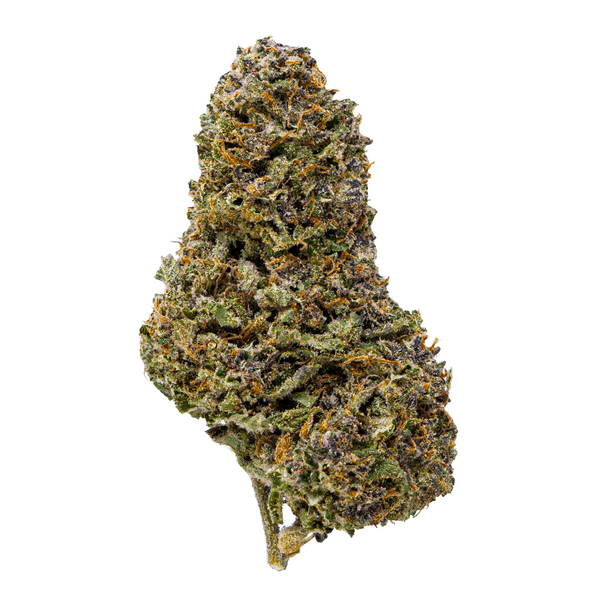 Flor de THCA de espectro dorado (parte superior) - Cherry Cookies