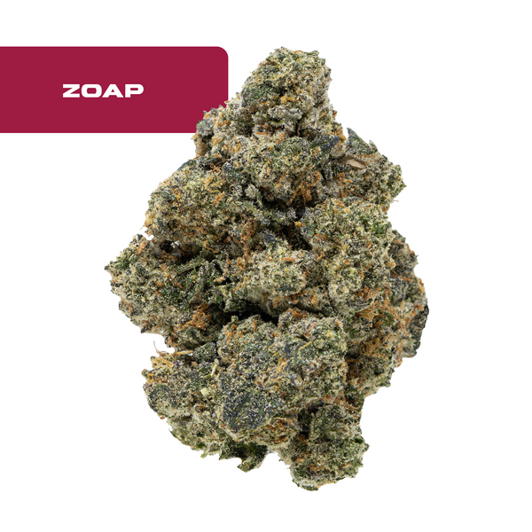Gold Spectrum THCA Flower - Exotic Quality Strain of the Month
