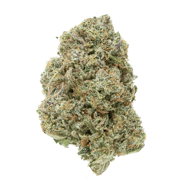 Gold Spectrum THCA Flower (Exotic) - White Apricot