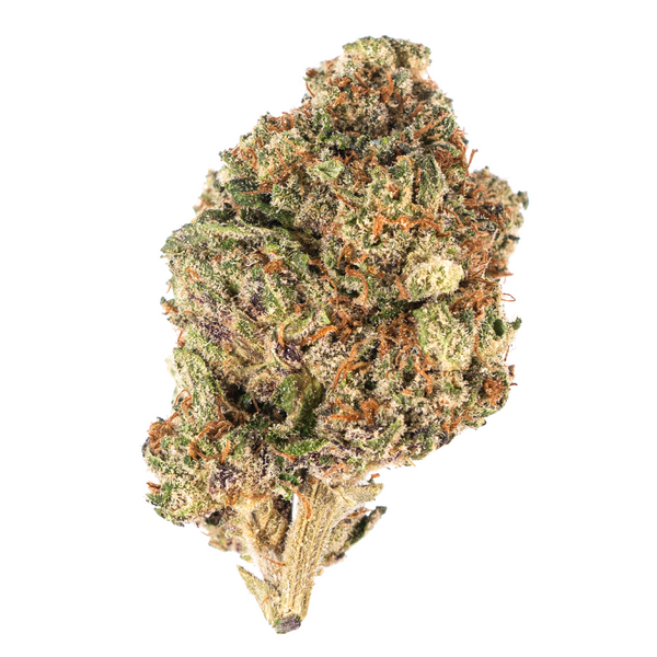 Flor de THCA de espectro dorado: variedad exótica del mes