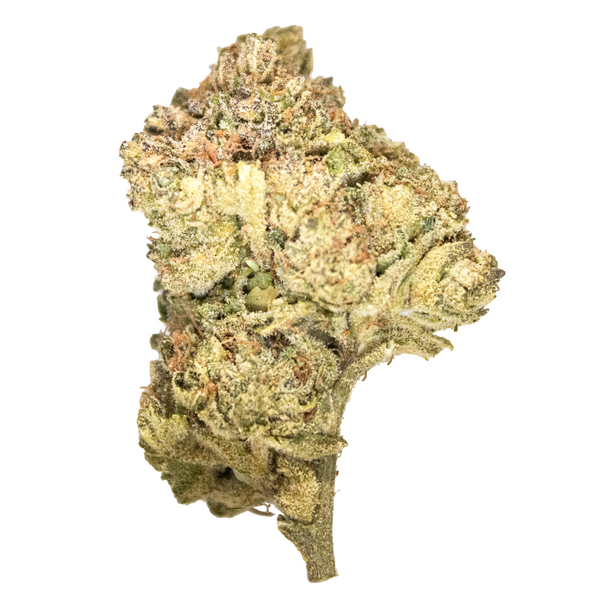 Gold Spectrum THCA Flower (Top) - Face Meltz