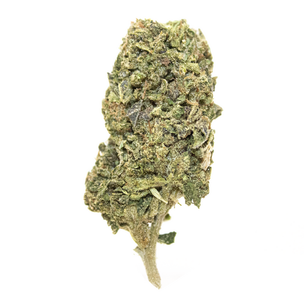 Flor de THCA de espectro dorado (parte superior) - Cherry Cookies