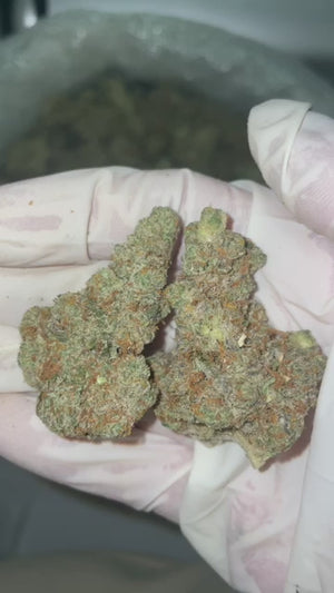 Gold Spectrum THCA Flower (Exotic) - Strawberry Cough