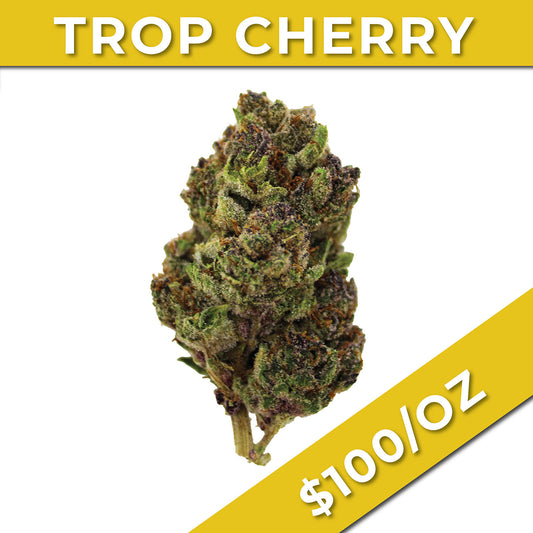 TROP CHERRY THCA hemp bud image - $100/oz