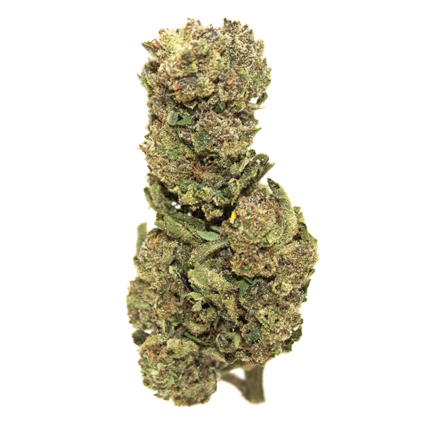 Gold Spectrum THCA Flower (Top) - Street Tartz