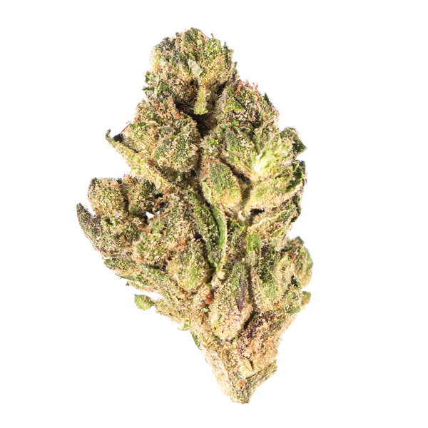 Flor de THCA de espectro dorado: variedad de máxima calidad del mes